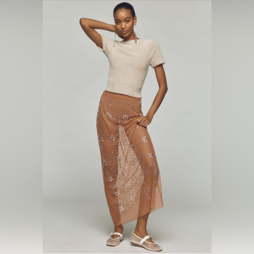 ANTHROPOLOGIE Crystal Sheer Maxi Skirt - Picture 3 of 12